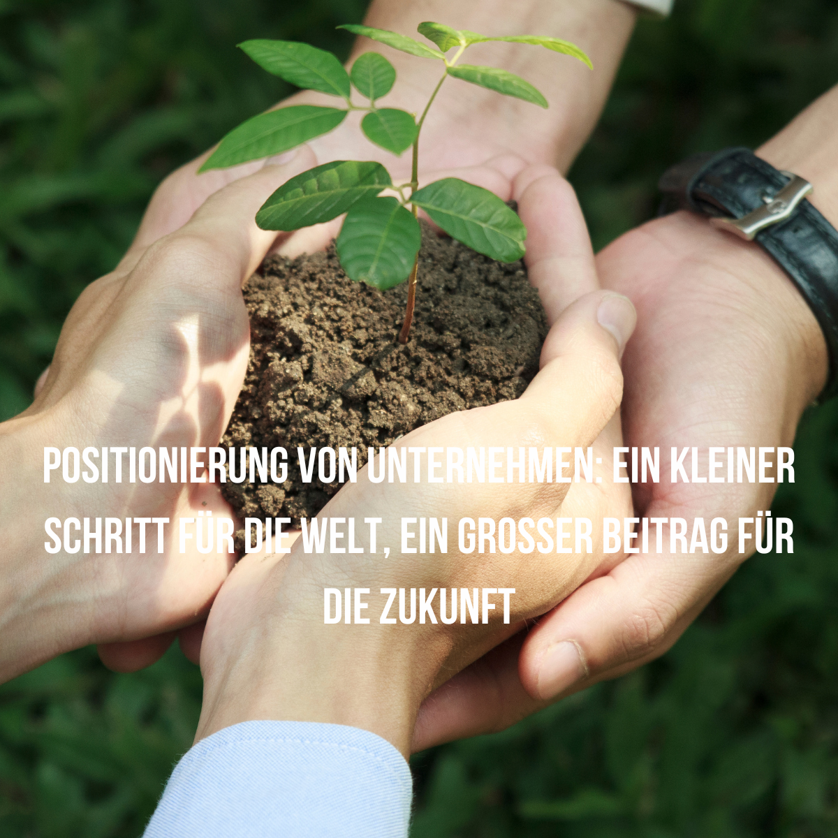 Nachhaltigkeit